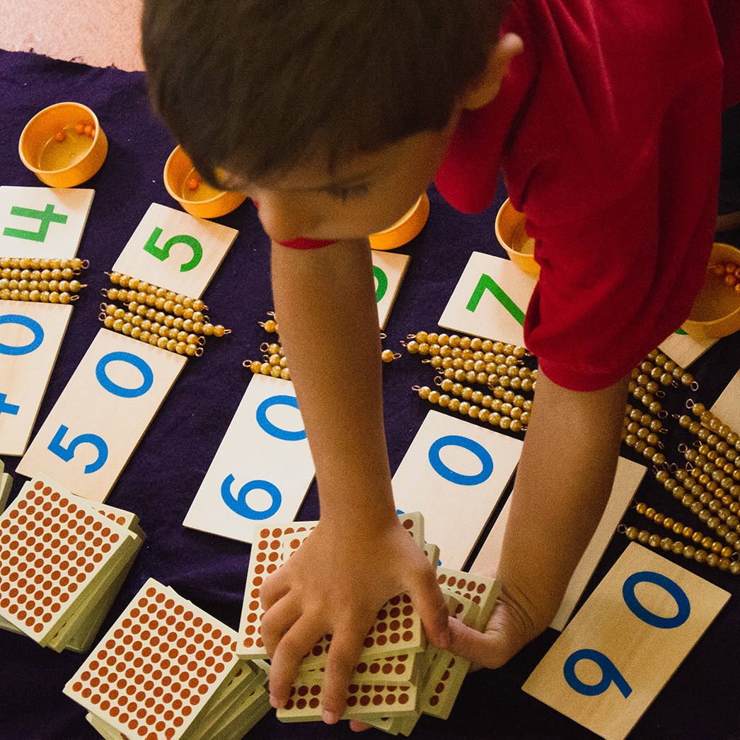 primary program