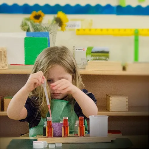 Montessori preschool for primary children