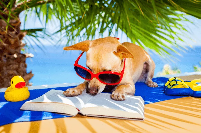 Monessori Reading Books