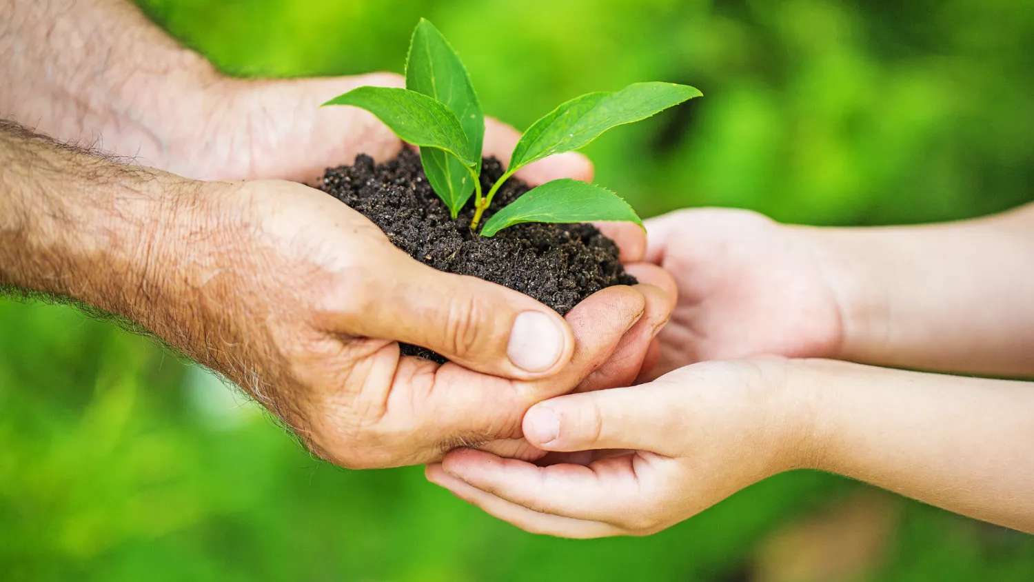 earth day activities for kids