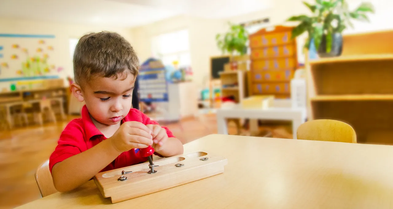 Montessori household tools lesson